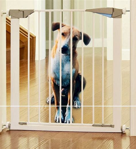 Magic gate for dogs